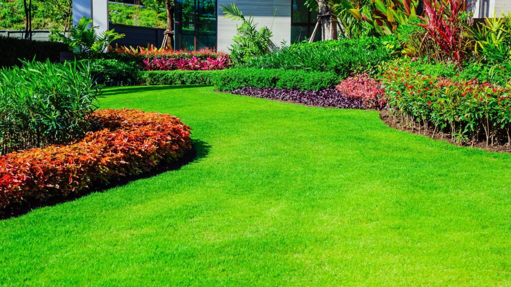Greener Grass Landscaping – Professional Lawn Care and Landscape Services in Mount Pleasant, South Carolina Greener Grass Landscaping